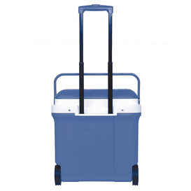 [8432583843859] HLADILNA TORBA 30L